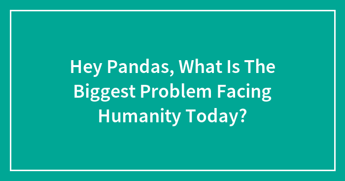 Hey Pandas, What Is The Biggest Problem Facing Humanity Today?