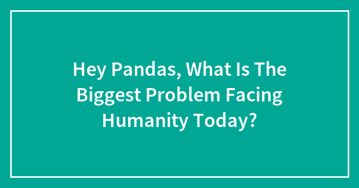 Hey Pandas, What Is The Biggest Problem Facing Humanity Today? (Closed)