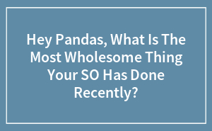 Hey Pandas, What Is The Most Wholesome Thing Your SO Has Done Recently? (Closed)