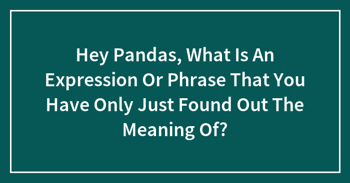 Hey Pandas, What Is An Expression Or Phrase That You Have Only Just Found Out The Meaning Of?