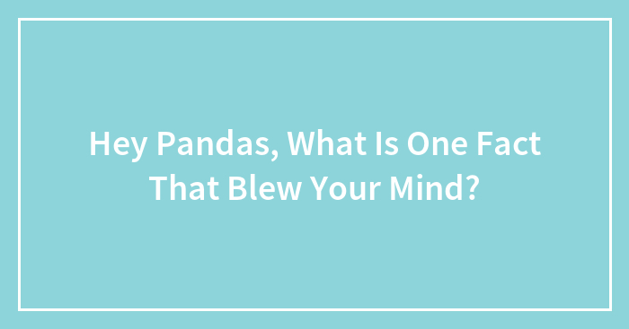 Hey Pandas, What Is One Fact That Blew Your Mind?