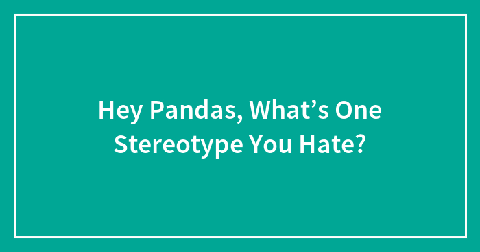 Hey Pandas, What’s One Stereotype You Hate?