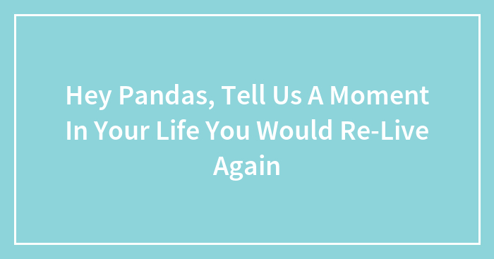 Hey Pandas, Tell Us A Moment In Your Life You Would Re-Live Again