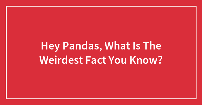 Hey Pandas, What Is The Weirdest Fact You Know? (Closed)