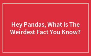 Hey Pandas, What Is The Weirdest Fact You Know?