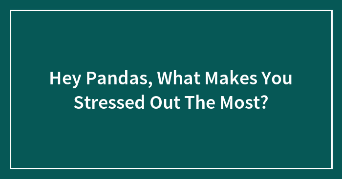 Hey Pandas, What Makes You Stressed Out The Most? (Closed)