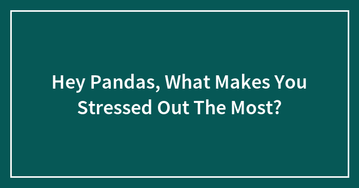 Hey Pandas, What Makes You Stressed Out The Most?