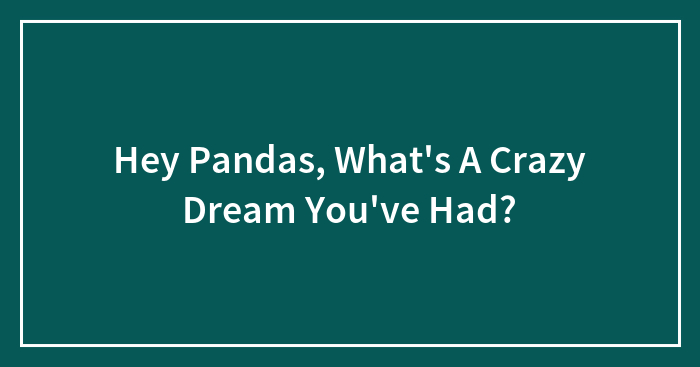 Hey Pandas, What’s A Crazy Dream You’ve Had?