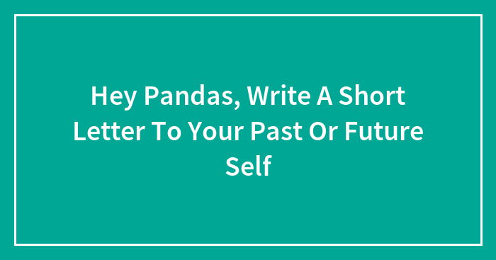 Hey Pandas, Write A Short Letter To Your Past Or Future Self