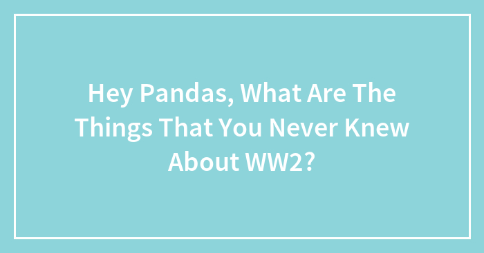 Hey Pandas, What Are The Things That You Never Knew About WW2?