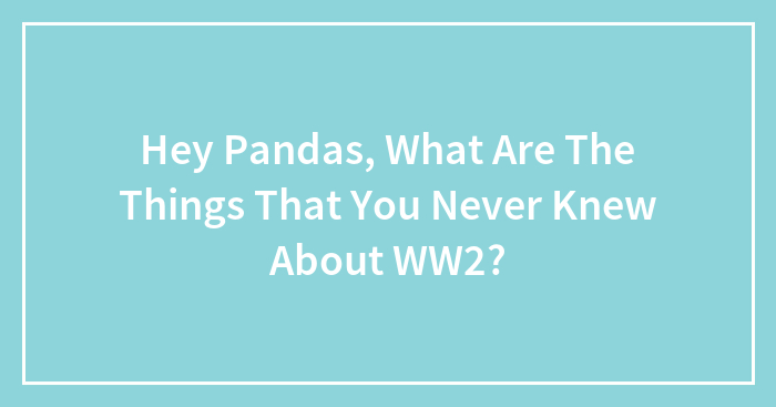 Hey Pandas, What Are The Things That You Never Knew About WW2? (Closed)