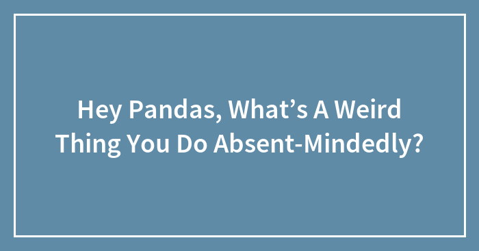 Hey Pandas, What’s A Weird Thing You Do Absent-Mindedly? (Closed)