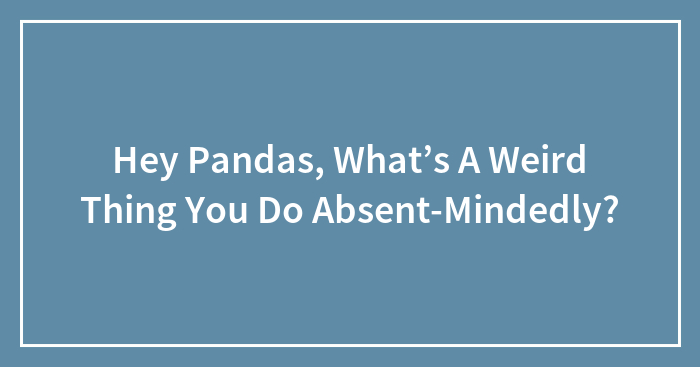 Hey Pandas, What’s A Weird Thing You Do Absent-Mindedly?