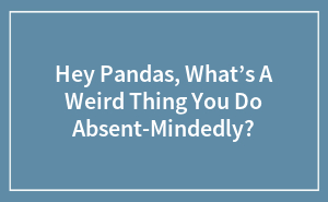 Hey Pandas, What’s A Weird Thing You Do Absent-Mindedly?