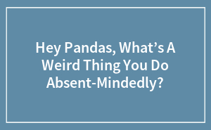 Hey Pandas, What’s A Weird Thing You Do Absent-Mindedly? (Closed)