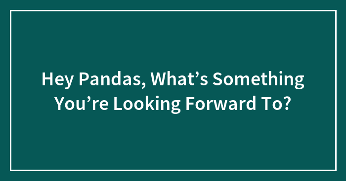 Hey Pandas, What’s Something You’re Looking Forward To? (Closed)