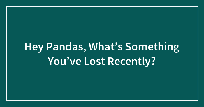 Hey Pandas, What’s Something You’ve Lost Recently?