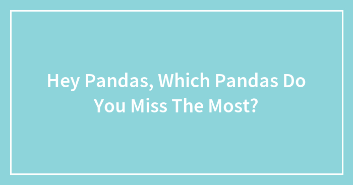 Hey Pandas, Which Pandas Do You Miss The Most? (Closed)