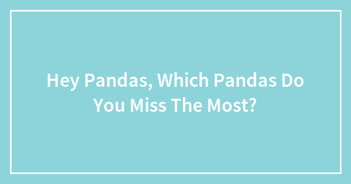 Hey Pandas, Which Pandas Do You Miss The Most?