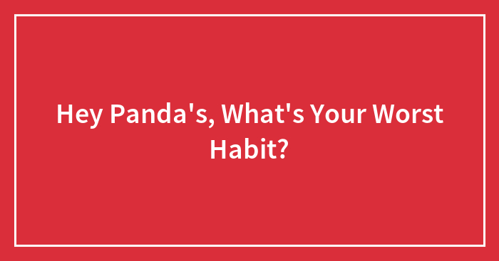 Hey Panda’s, What’s Your Worst Habit?