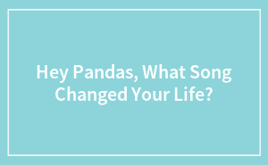 Hey Pandas, What Song Changed Your Life?
