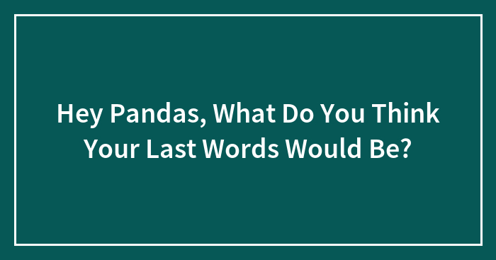 Hey Pandas, What Do You Think Your Last Words Would Be?