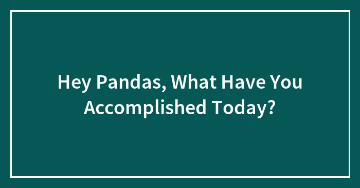 Hey Pandas, What Have You Accomplished Today? (Closed)