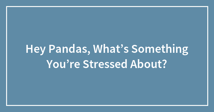 Hey Pandas, What’s Something You’re Stressed About? (Closed)