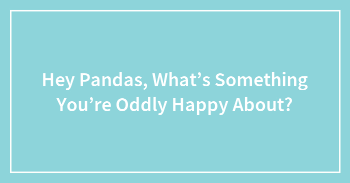 Hey Pandas, What’s Something You’re Oddly Happy About? (Closed)