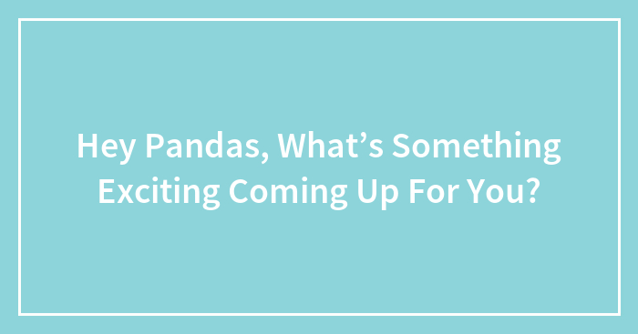 Hey Pandas, What’s Something Exciting Coming Up For You? (Closed)
