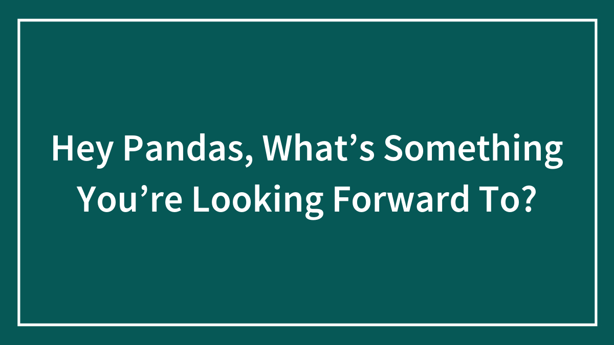 Hey Pandas, What’s Something You’re Looking Forward To? (Closed)