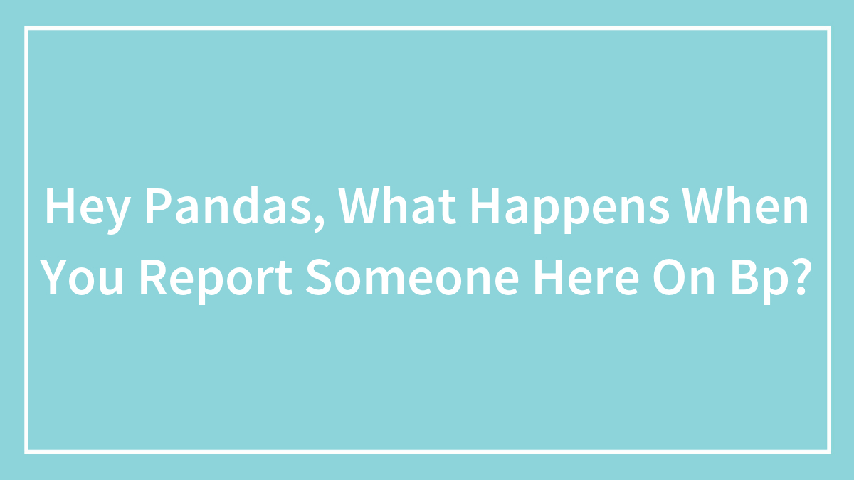 Hey Pandas, What Happens When You Report Someone Here On Bp?