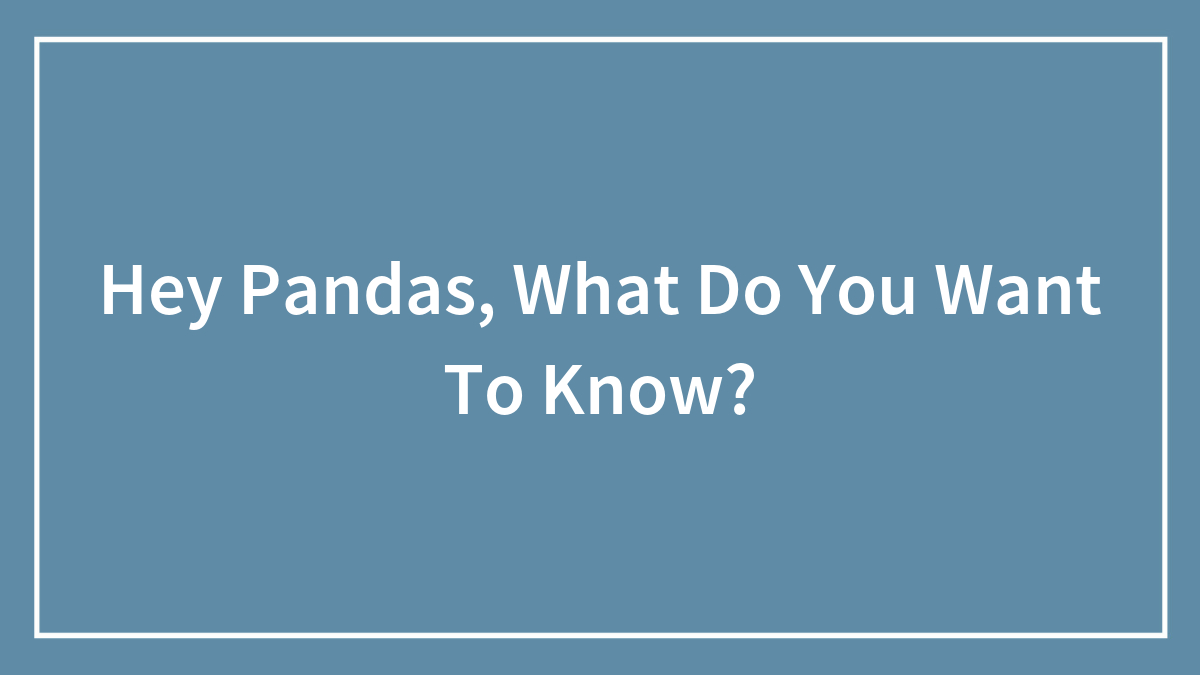 Hey Pandas, What Do You Want To Know?