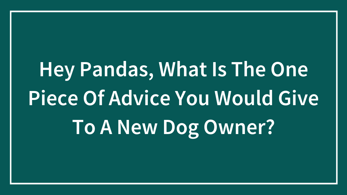 Hey Pandas, What Is The One Piece Of Advice You Would Give To A New Dog Owner? (Closed)