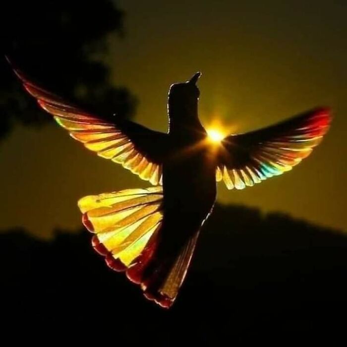 Hey Pandas, Post A Random Photo Or Screenshot On Your Mobile Phone