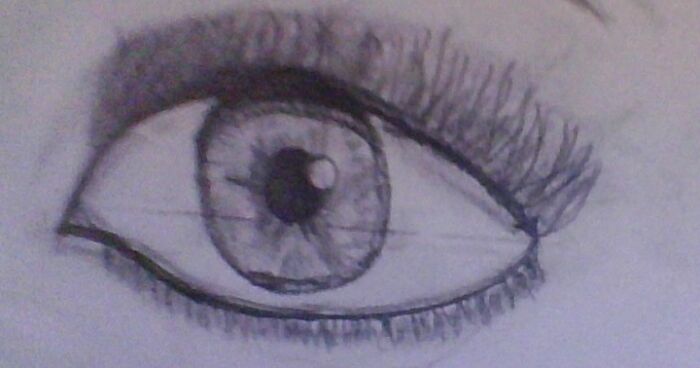 Hey Pandas, If You Are Bored, I Challenge You To Draw Me Your Best Eye! (Closed)