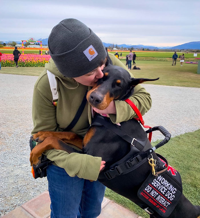 “He’s Scent-Trained To Alert”: 3-Year-Old Dobermann Tobias Improves Chronically Ill Owner’s Life “He’s Scent-Trained To Alert”: 3-Year-Old Dobermann Tobias Improves Chronically Ill Owner’s Life