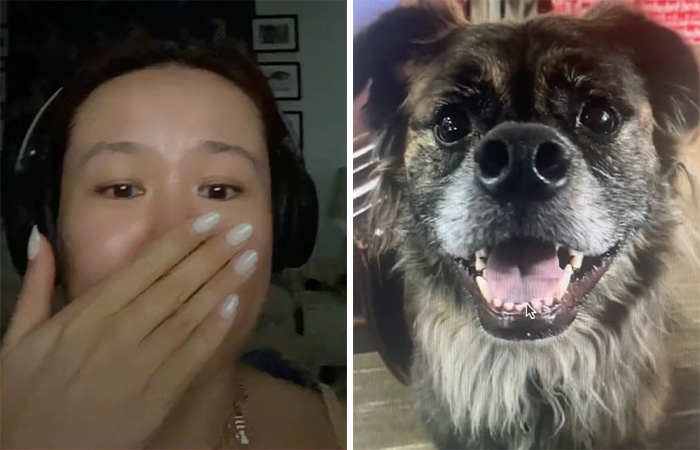 A Dog DNA Test Helps Woman Discover Her Mutt’s Entire Family Tree And She’s In Tears