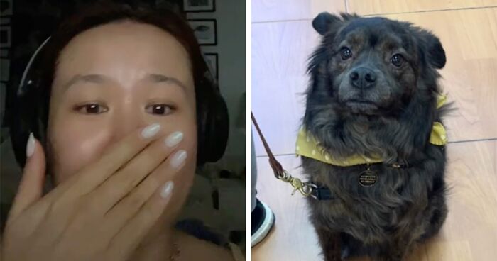 Dog Owner In Tears After Doggy DNA Test Helps Her Find Her Dog’s Relatives