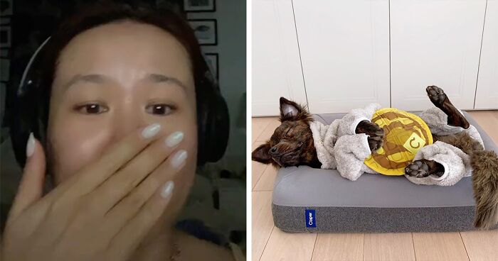 A Dog DNA Test Helps Woman Discover Her Mutt’s Entire Family Tree And She’s In Tears