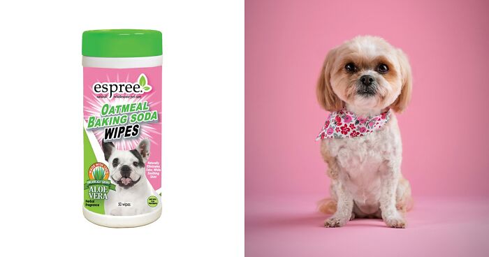 Vet-Approved Dog Wipes For Paws, Coats, And Eyes