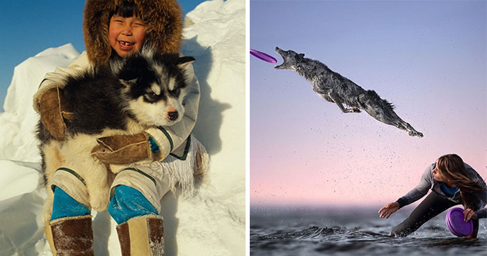 90 Cute Dogs That Got Forever Encapsulated In History