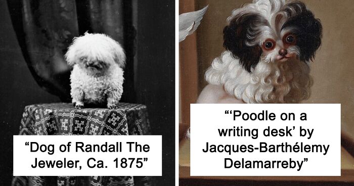 90 Of The Sweetest Dog Photos Taken Throughout History That May Melt Your Heart