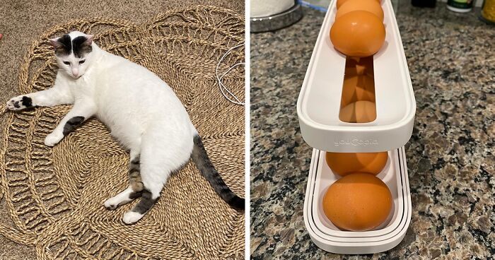 41 Little Things That Will Bring Joy Back Into Your Home