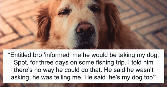 Woman Is Horrified Brother Wants To Take Dog On His Fishing Trip, Runs Away To Fiancé With It