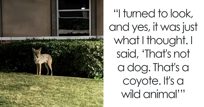 Man Demands Woman To Leash Her Dog, Doesn’t Realize It’s A Coyote