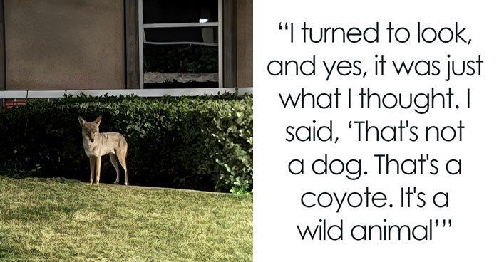 Woman Left Confused After Entitled Man Yells At Her To Put A Leash On Coyote