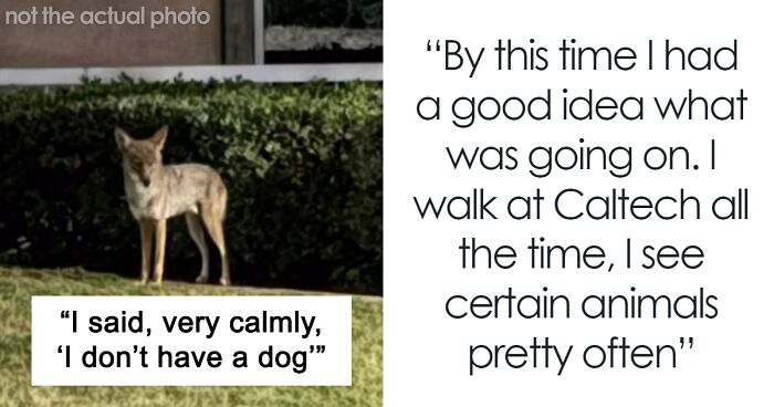Woman Endures Yelling From Man Who Thought A Roaming Coyote Was Her Pet Dog