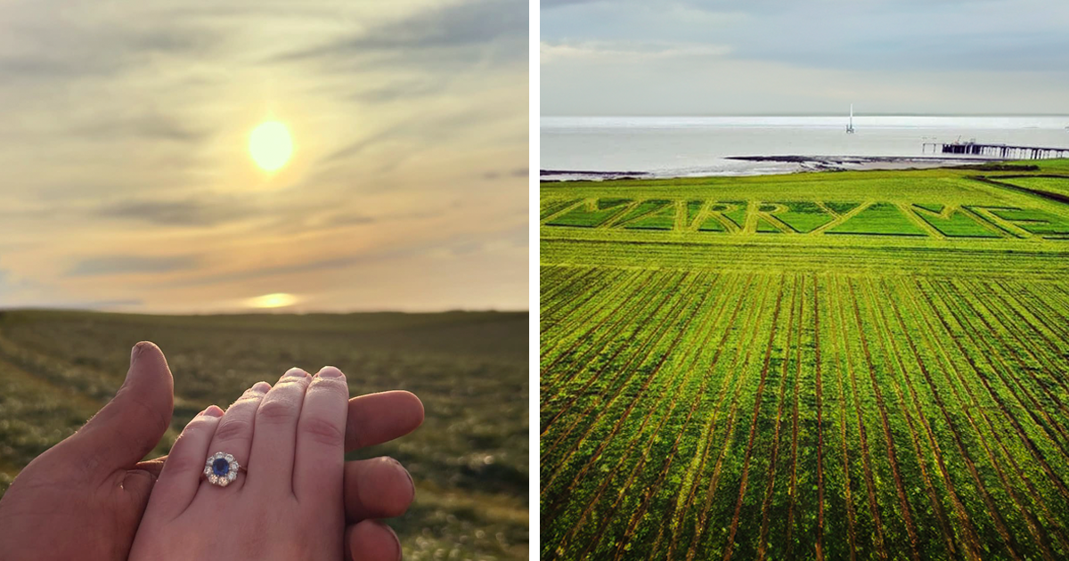 Girlfriend Can't Hold Her Tears Back After Farmer Carves "Marry Me" Into His Field At Golden Hour - Vimarsana News