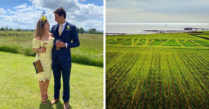 Girlfriend Can’t Hold Her Tears Back After Farmer Carves “Marry Me” Into His Field At Golden Hour